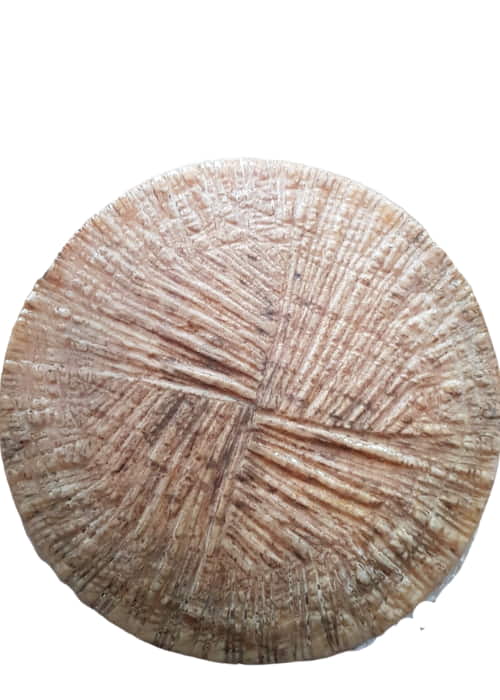Pecorino Stagionato di Minervino 2,8 Kg Circa (crosta non edibile)