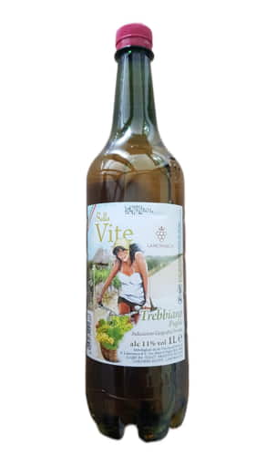 Trebbiano Vino Bianco Bellavite IGP 1 L